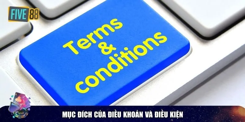 Vai trò quan trọng của mục đích của điều khoản và điều kiện