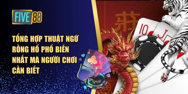 thuật ngữ Rồng Hổ